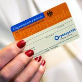 Internet und Infotelefon – für alle, die noch mehr erfahren wollen