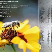 „Bienenretter“ machen ersten Stich