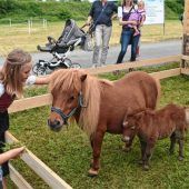 Regional- und Handwerkermarkt für Groß und Klein