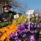 Der Frühling ist bunt
