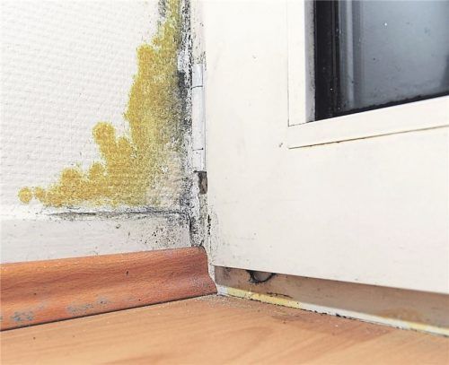 An der Mietminderung (hier Schimmelbildung) entzünden sich immer wieder Rechtsstreits.

Foto dpa/ Daniel Reinhardt