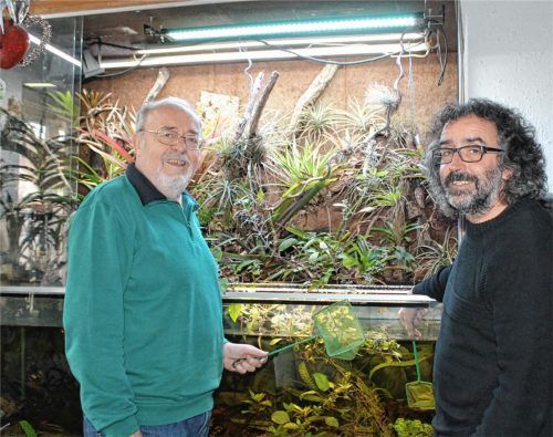 Aquarien haben ihn seit seiner Jugend fasziniert. Heiko Hansen (links), der sich 45 Jahre lang in der Vorstandschaft des Amazonas Aquarium und Terrarium-Vereins Waldkraiburg engagierte. Sein Amt als Vorsitzender hat mittlerweile Martin Lenk inne.Foto  sn