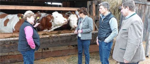 Bäuerin Elisabeth Grabmaier auf ihrem Hof mit Bezirksbäuerin Christine Singer, Landtagsabgeordnetem Hans Urban und Bezirkspräsident Anton Kreitmair (von links). Foto re