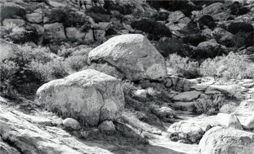 „Bloße Landschaft“: Mit diesem Werk ist Fotograf Owen Gump in der hochkarätigen Ausstellung vertreten. Foto  Gump