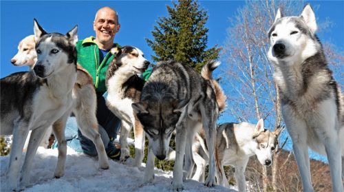 Der heimische Spitzen-Schlittenhunde-Musher Andi Birkel vom SC Weißbach freut sich schon auf die WM im Bayerischen Wald. Foto  Bittner