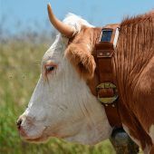 Unfassbar und unbeschreiblich