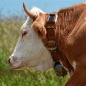 Unfassbar und unbeschreiblich