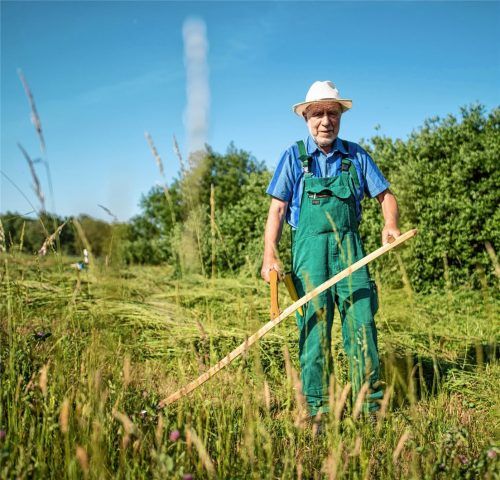Die Landwirte fürchten, dass das Volksbegehren sie zum alleinigen Sündenbock des Bienensterbens macht. Foto dpa