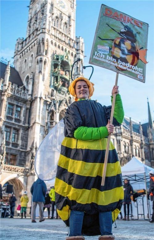 Eine Aktivistin vom Bund Naturschutz macht auf dem Marienplatz auf das Volksbegehren „Rettet die Bienen“ aufmerksam. Foto dpa