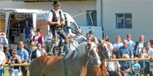 Eine großartige Show wurde beim Jubiläum der Pferdezuchtgenossenschaft geboten. Foto hö