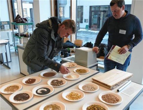 In einer Prüfung mussten Futtermittel, Saat und Holzarten bestimmt werden.