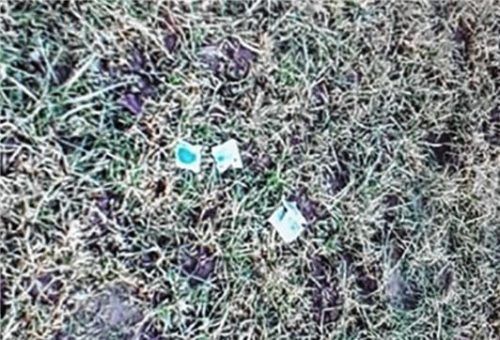 Kleine blaue Päckchen mit gruseligem Inhalt: Rattengift lag in der Wiese bei Oberachthal. Foto re