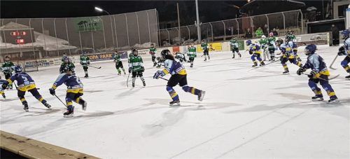 Mit harten Bandagen geht es im Eishockey auch im Jugendbereich zur Sache, in Waldkraiburg derzeit aber vor allem hinter den Kulissen. Da gibt es heftigen Krach um die Zukunft der Nachwuchsarbeit. Ein neuer Verein, der „EV Wildcats“, will dem EHC im Jugendbereich Konkurrenz machen. Foto  EHC