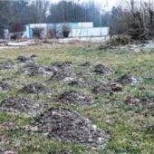 Mit Eintritt und Aufsicht