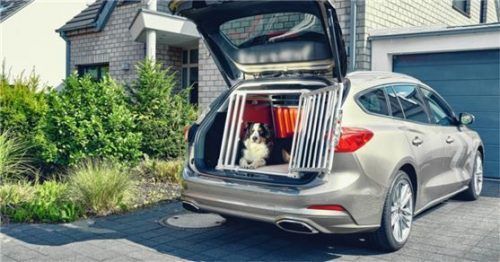 Sicherer Transport für Tiere im neuen Ford Focus Turnier.