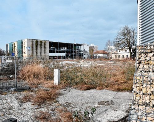 Verlassen und verwildert: das Grundstück in der Gießereistraße 2 in Rosenheim.Foto Schlecker