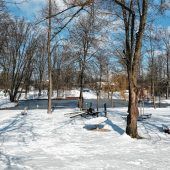 Paradies für Exoten und den Eisvogel