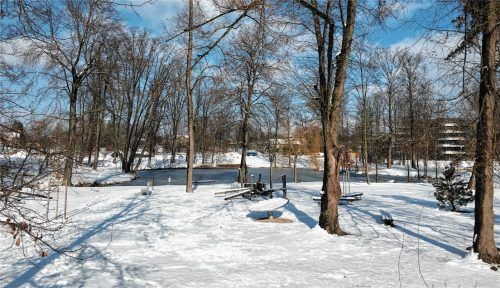 Viele Pläne hat die Stadt für den Spinnereipark, wenn Schnee und Eis weg sind. Dann sollen unter anderem exotische Bäume gepflanzt werden.Foto Gantner