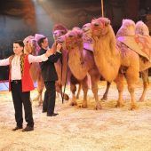 Kinder, welch’ ein Zirkus