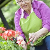 Rückenfreundlich: Der Garten auf Armhöhe