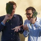 Sehen, Hören, Fühlen: Unsere Sinne essen stets mit