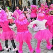Flamingos machen Aschau unsicher