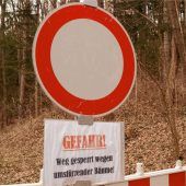 250 Eschen müssen gefällt werden