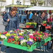 Den Frühling ins Haus holen beim Josefimarkt