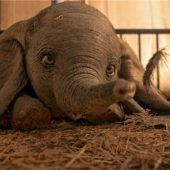Unser Tipp: Dumbo