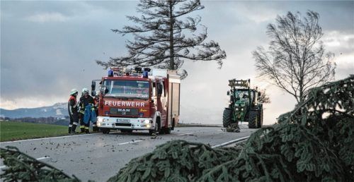 Aufräumarbeiten noch während der Sturmböen: Im Kreis Traunstein waren Kreis- und Staatsstraßen wie etwa die TS25 und 26 sowie die St2105 betroffen. Foto  FDL/Lamminger