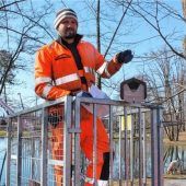 Neue Wohnungen für Piepmätze