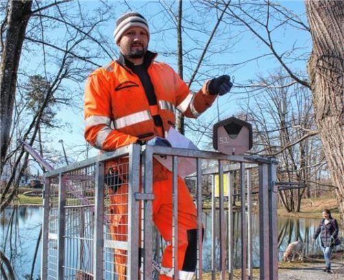 Bauhof-Mitarbeiter Simon Reiter zeigt eine Starenhöhle, die an eine Ulme im Spinnereipark genagelt wird.