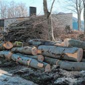 „Max Pfaffinger soll seinen Hut nehmen“