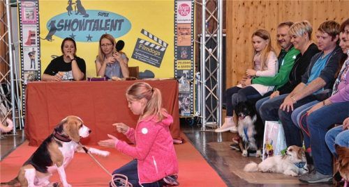 Ein eingespieltes Team sind Beagle Mailo und sein Frauchen, die zwölf Jahre alte Antonia aus Rosenheim. Unter den Augen der Jury und des Publikums zeigen sie verschiedene Kunststücke.Fotos Schlecker