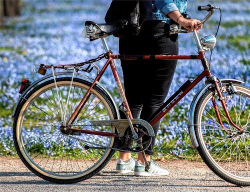 Fest im Sattel: Im Juni werden sechs Radltouren in die Umgebung angeboten. Foto dpa