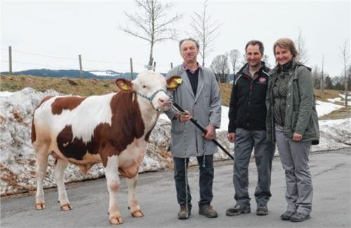 Kerstin und Martin Helminger aus Schlinzger freuen sich mit dem Aufzüchter Josef Deutinger (links) über ihren züchterischen Erfolg. Der Votary-Sohn geht bei der Bayern Genetik in Besamungseinsatz. Foto re