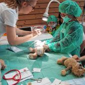Eine Klinik für Kuscheltiere