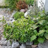 Garteln auf kleinstem Raum