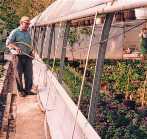 Mit Hut und Gießgerät – so kennt man Gärtnermeister Bruder Ulrich, der seinen 85. Geburtstag feierte. Das Bild stammt aus dem Jahr 1993.Fotos Huckemeyer