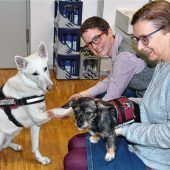 Tierisches Frühwarnsystem