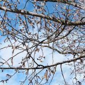 Auf der Suche nach dem Frühling