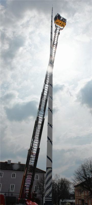 27 Meter ist der Maibaum hoch und wiegt etwa zwei Tonnen.Fotos Weinzierl