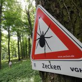 Vorsicht Zecken: So schützen Sie sich!