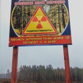 Frau Nünke und der Geschmack von Tschernobyl