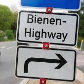 „Bienen-Highway“ an der Autobahn