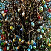 Da hat’s der Osterhase gut gemeint: Ein Ostergruß an alle Leser