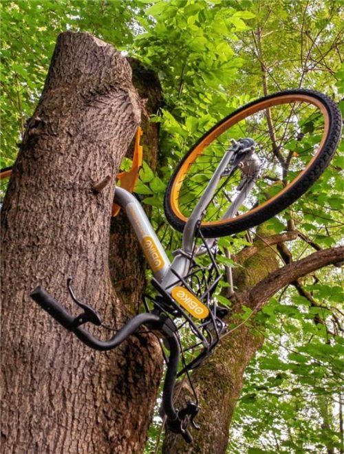 Albtraum Leihfahrrad: Ein Radl des Verleih-Unternehmens Obike hängt in einem Baum in München.Foto DPA