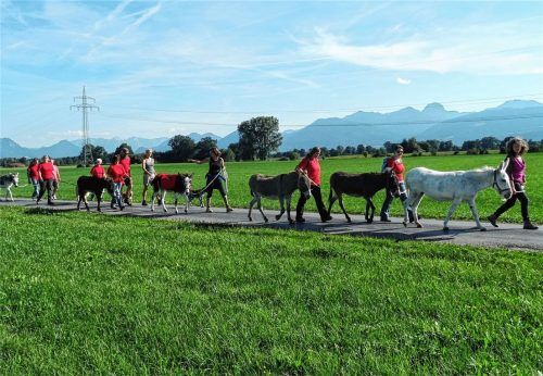 Auf abwechslungsreichen Wegen sind die Eselfreunde Kolbermoor mit ihren Schützlingen unterwegs – und gehen dabei mit Rücksicht auf die Tiere auch gerne selber. Foto pross-kohlhofer