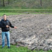 Kleine Blühfläche, große Wirkung?