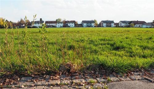 Auf dieser grünen Wiese in Großkarolinenfeld-Ost entsteht bald Wohnraum.Foto Heinz